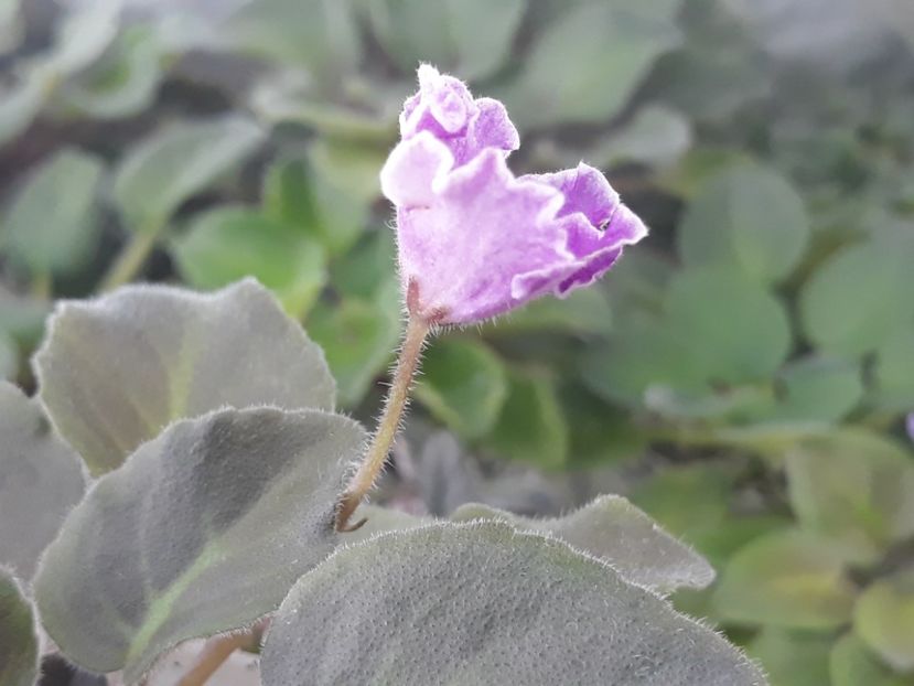 14 aug - N Sa Liubovj!!