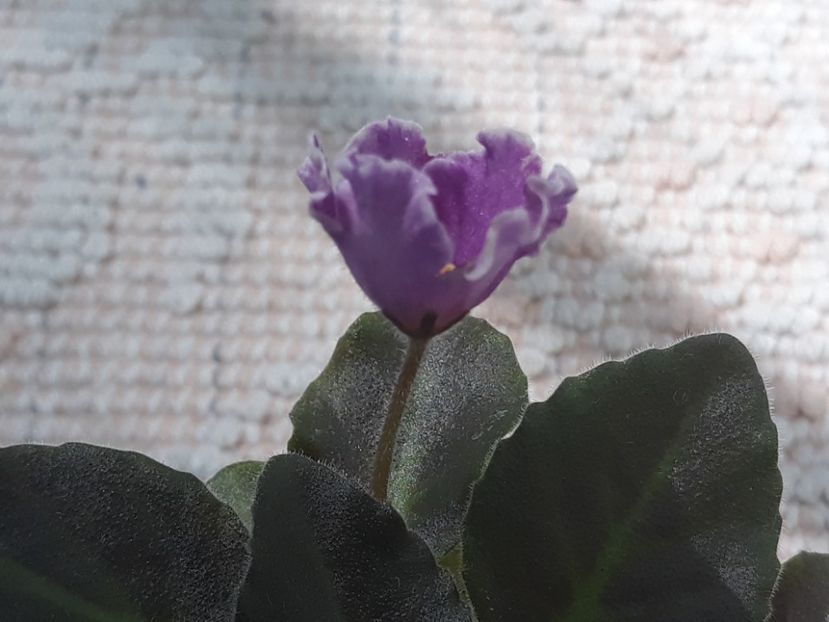 14 aug - N Sa Liubovj!!