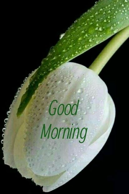 Good Morning Sunday 15 August ! 08:35 Clock - - B - Ni Hao !