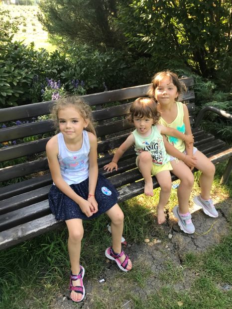 D0F9AEF0-3BF5-4E40-9A1E-8233276C5C17 - Comana Iulie 2021