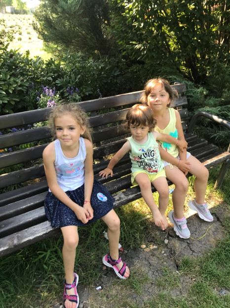 F894EB15-4B23-4352-B1DD-958CC354249B - Comana Iulie 2021