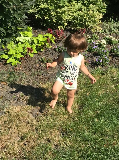 383E916F-20C7-4A6C-AE6E-5E0562F65743 - Comana Iulie 2021