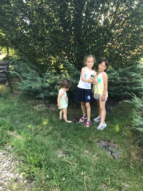 BB0555C2-BB99-4B05-BA5A-005D6CD15671 - Comana Iulie 2021