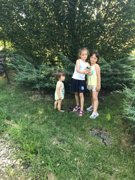 9C11A6B1-2752-42CF-99F4-5B0EA6B06DF2 - Comana Iulie 2021