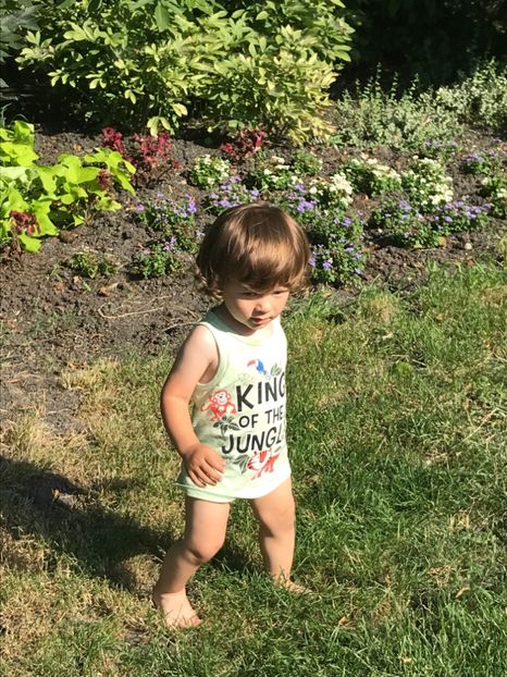 4BE9D3B1-141E-46D4-93B5-C57B50C0DA17 - Comana Iulie 2021