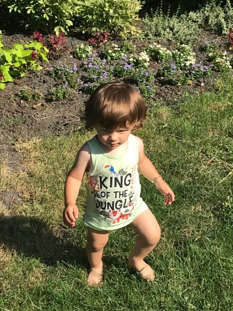 7333449A-83BC-4DFB-88C0-BE28F46050AF - Comana Iulie 2021