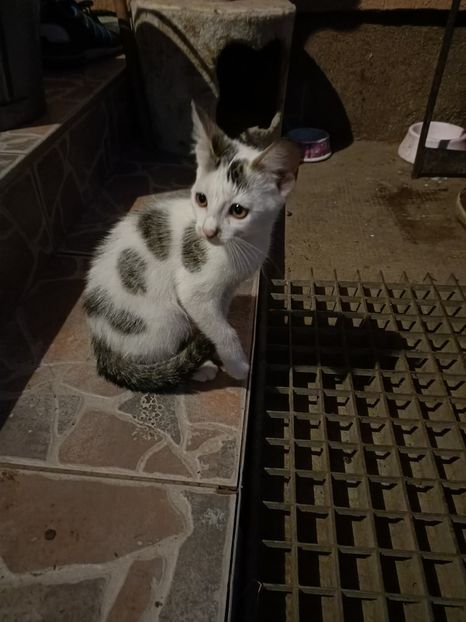 IMG20210809210624 - La mulți ani Maria