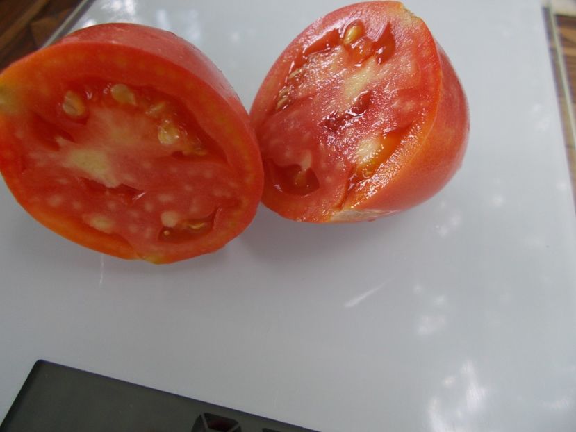  - SEMINTE ROSII - T 695 VOLCHIY KLUK