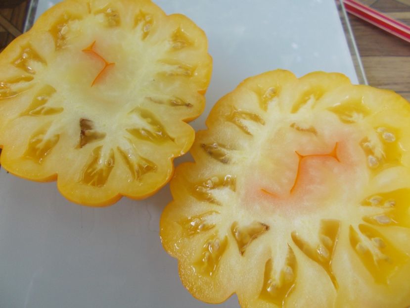  - SEMINTE ROSII - T 715 JAUNE COTELEE DE MONTLOUIS