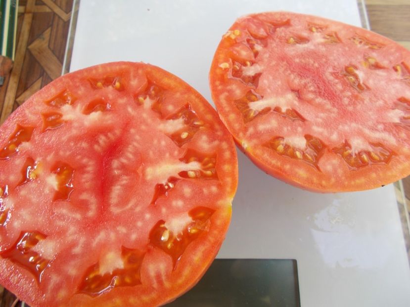  - SEMINTE ROSII - T 701 BABUSCHKINA RADOST