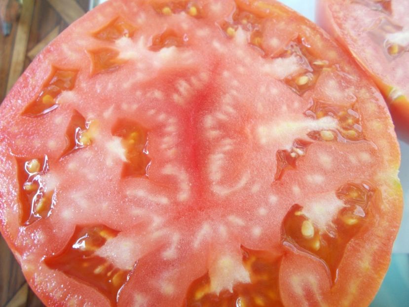  - SEMINTE ROSII - T 701 BABUSCHKINA RADOST