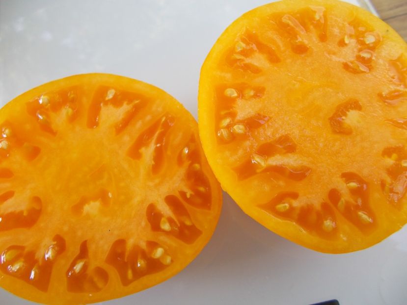  - SEMINTE ROSII - T 785 JANET S JACINTHE JEWEL