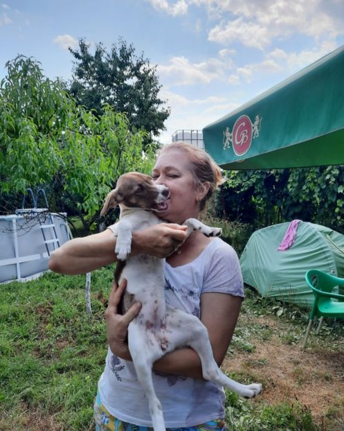 Screenshot_20210815-151550_WhatsApp - Eu în 2021