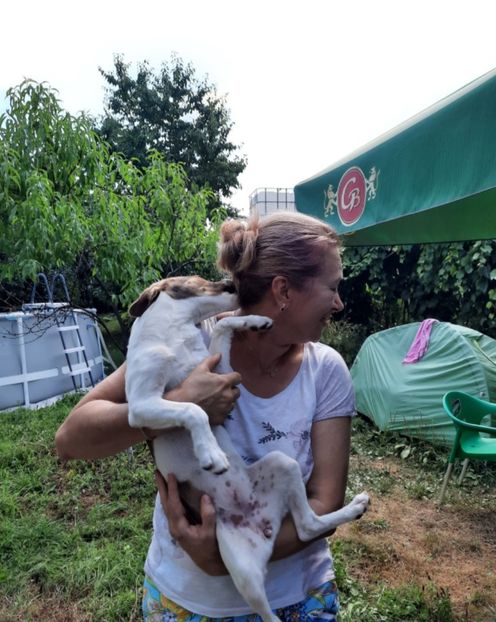 Screenshot_20210815-151547_WhatsApp - Eu în 2021