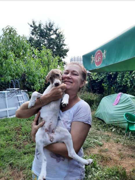 Screenshot_20210815-151607_WhatsApp - 10 august 2021