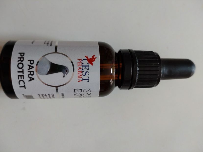 PARA PROTECT 20 ML 56 RON - PRODUSE CEST PHARMA