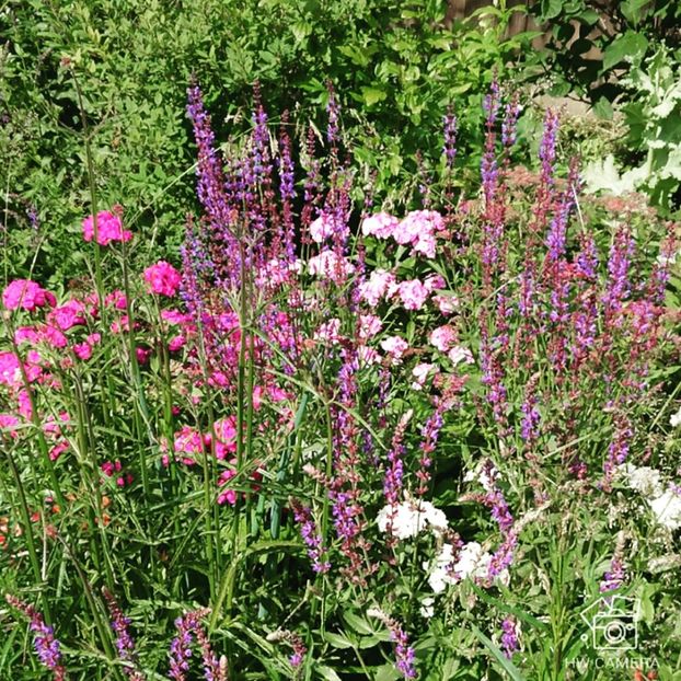  - Garden 2021