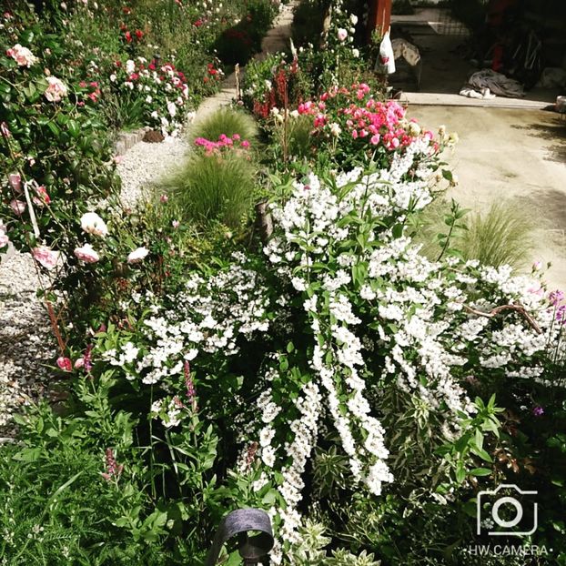  - Garden 2021