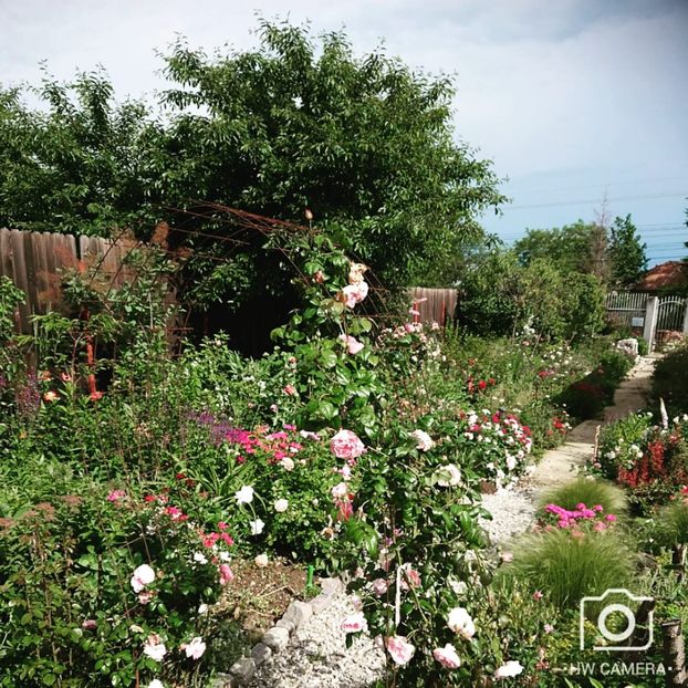  - Garden 2021