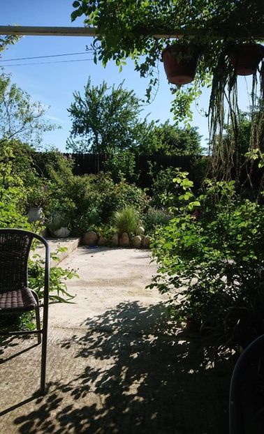 received_144218750975278 - Garden 2021