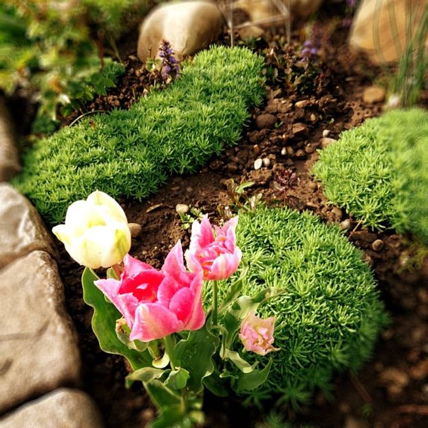  - Garden 2021