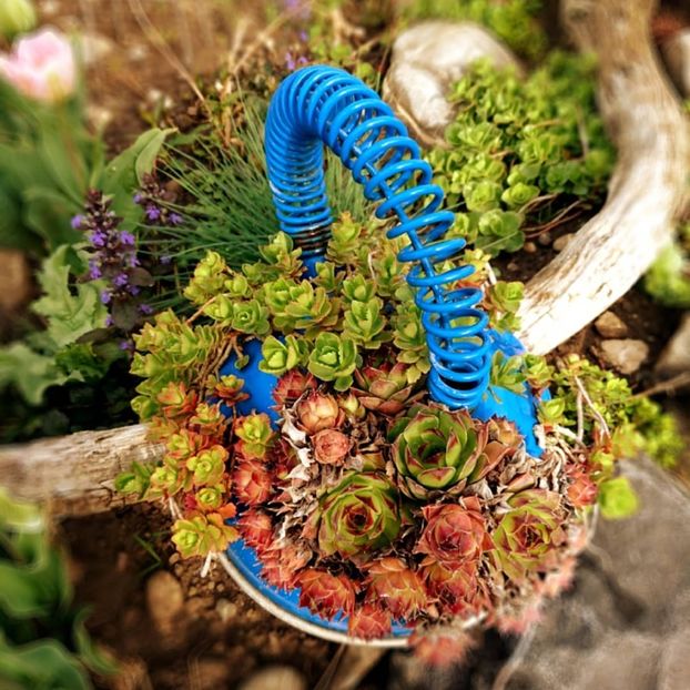  - Garden 2021