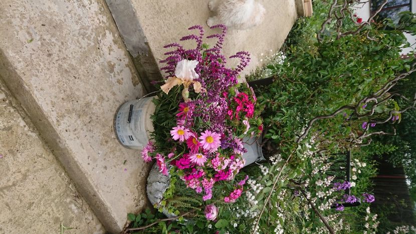  - Garden 2021