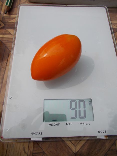  - SEMINTE ROSII - T 773 ANDINE CORNUE ORANGE