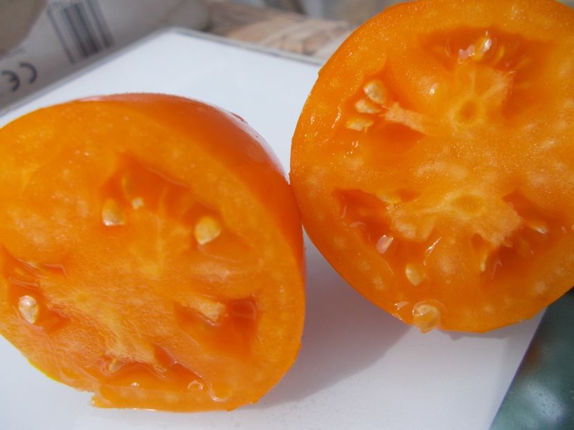  - SEMINTE ROSII - T 773 ANDINE CORNUE ORANGE