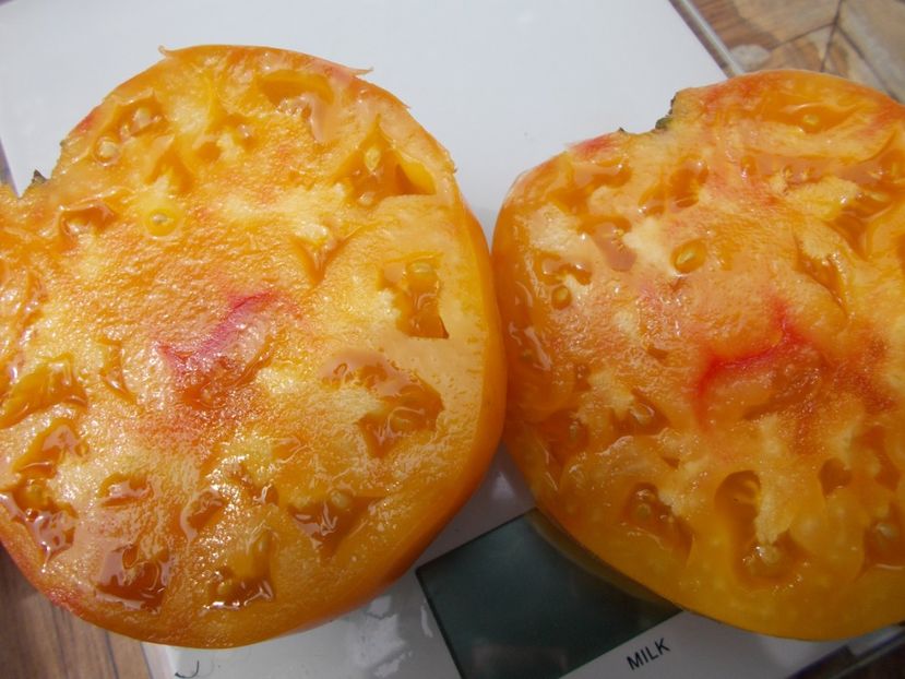  - SEMINTE ROSII - T 664 ZOLOTYYE GORY MEDEO