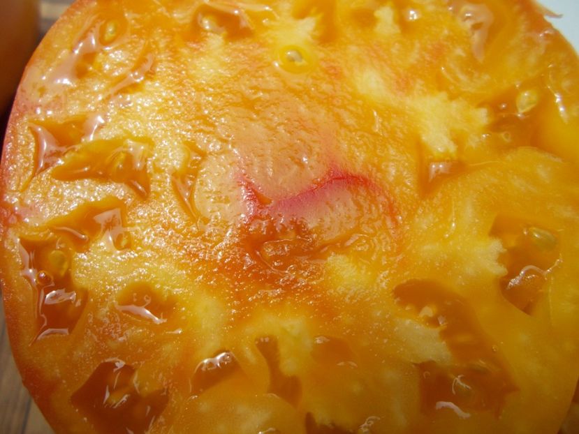  - SEMINTE ROSII - T 664 ZOLOTYYE GORY MEDEO