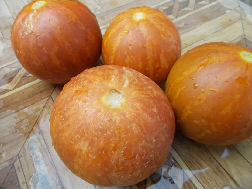  - SEMINTE PEPENE GALBEN - D 123 TIGER MELON