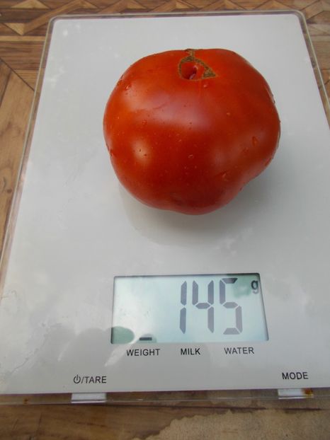  - Z SEMINTE ROSII - T 686 ANKL BENZ kasachstan ????