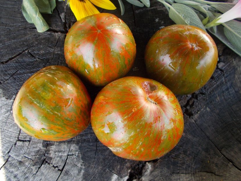  - SEMINTE ROSII - T 757 MYSTERE DE BERTHIER