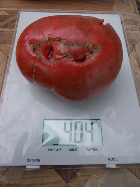  - SEMINTE ROSII - T 730 BLAUE KASACHSTAN