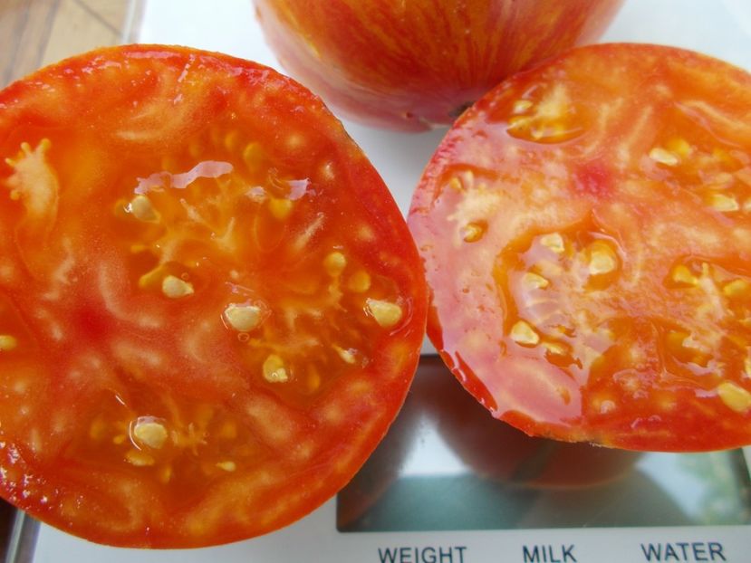  - SEMINTE ROSII - T 733 BLEEDING HEART