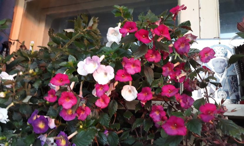  - 0001 2022 - Chancey Marie xA