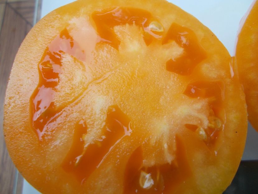  - SEMINTE ROSII - T 719 LAPOT ORANGE