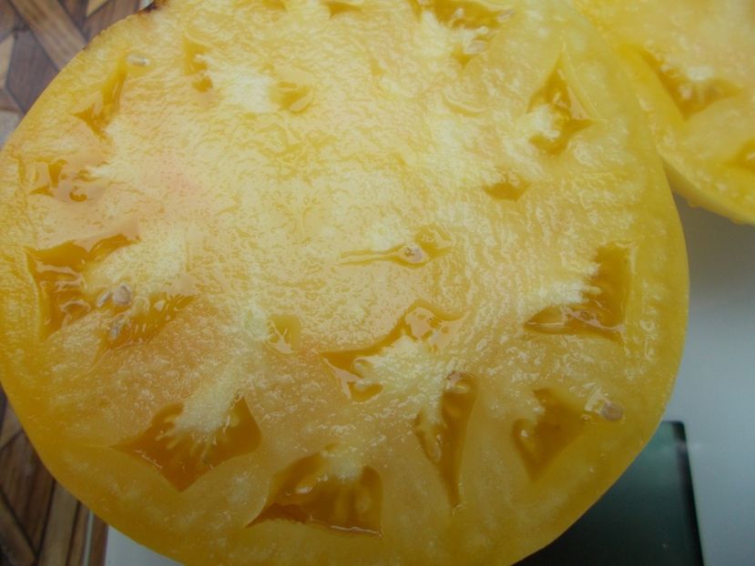  - SEMINTE ROSII - T 742 PERLE DE LAIT