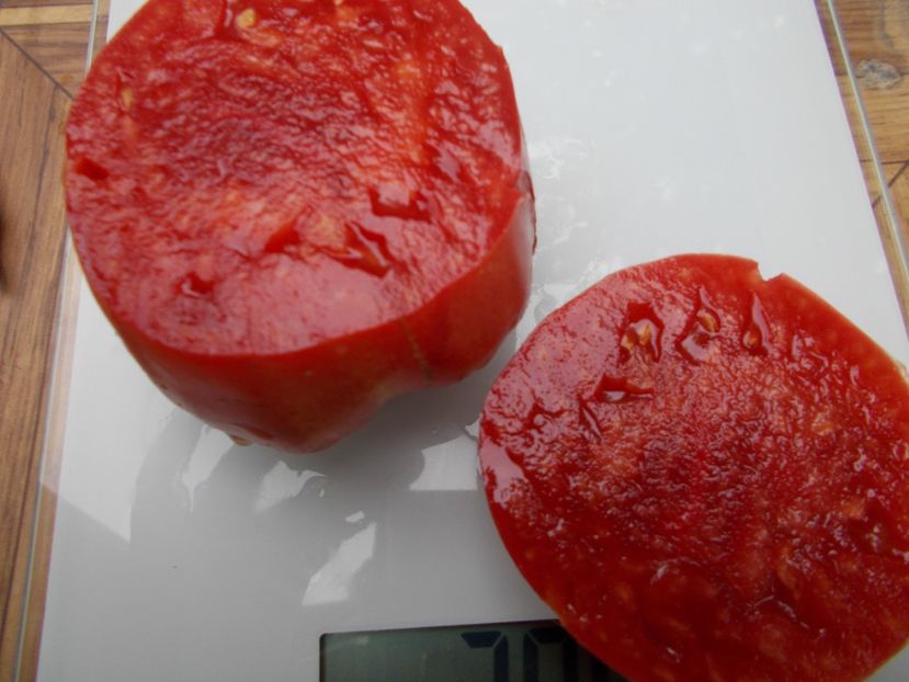  - SEMINTE ROSII - T 745 LAMBERT S GENERAL GRANT