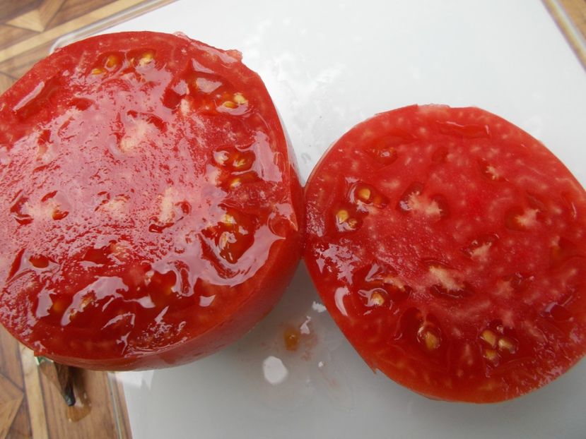  - SEMINTE ROSII - T 647 SIBIRSKIYE LAPTI