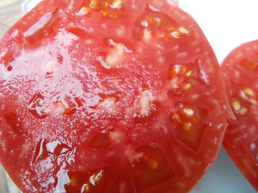  - SEMINTE ROSII - T 647 SIBIRSKIYE LAPTI