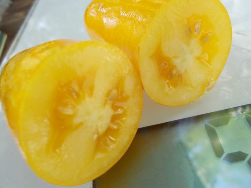  - SEMINTE ROSII - T 738 BANANEN PLATANO