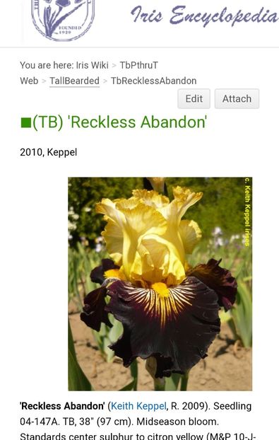  - Iriși achiziții 2021