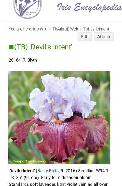  - Iriși achiziții 2021