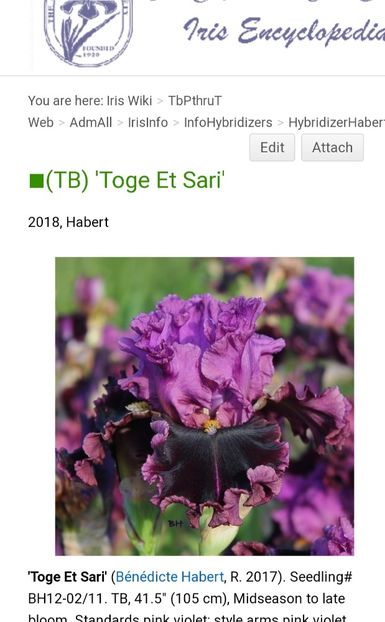  - Iriși achiziții 2021