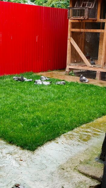 IMG-20210618-WA0009 - 2021-DIVERSE POZE