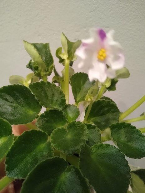 27 august 2021 - TS 9-9