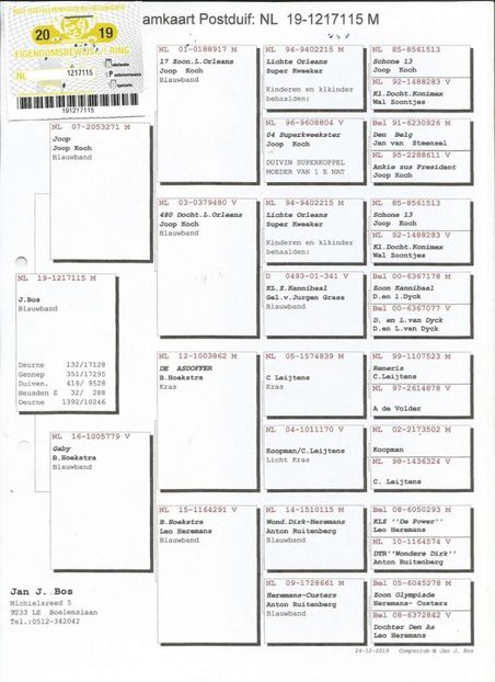 15ped - Achizitii porumbei -2021