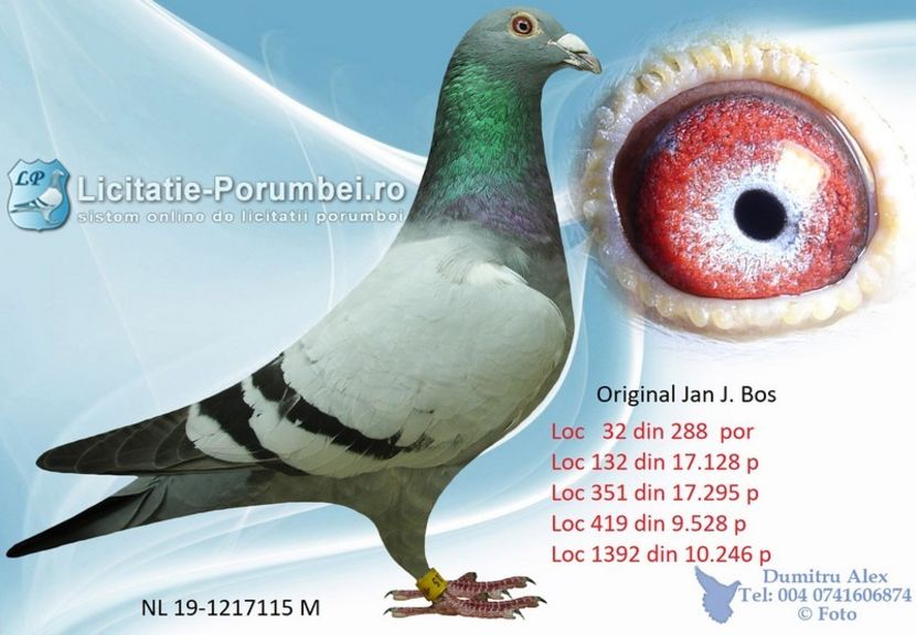  - Achizitii porumbei -2021